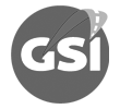 GSI